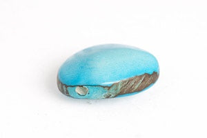 Tagua Samen, türkis