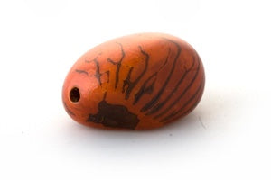 Tagua Samen, maseriert, orange