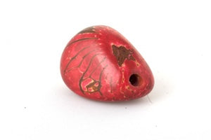 Tagua Samen, maseriert, rot