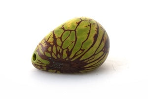 Tagua Samen, maseriert, olivgrün